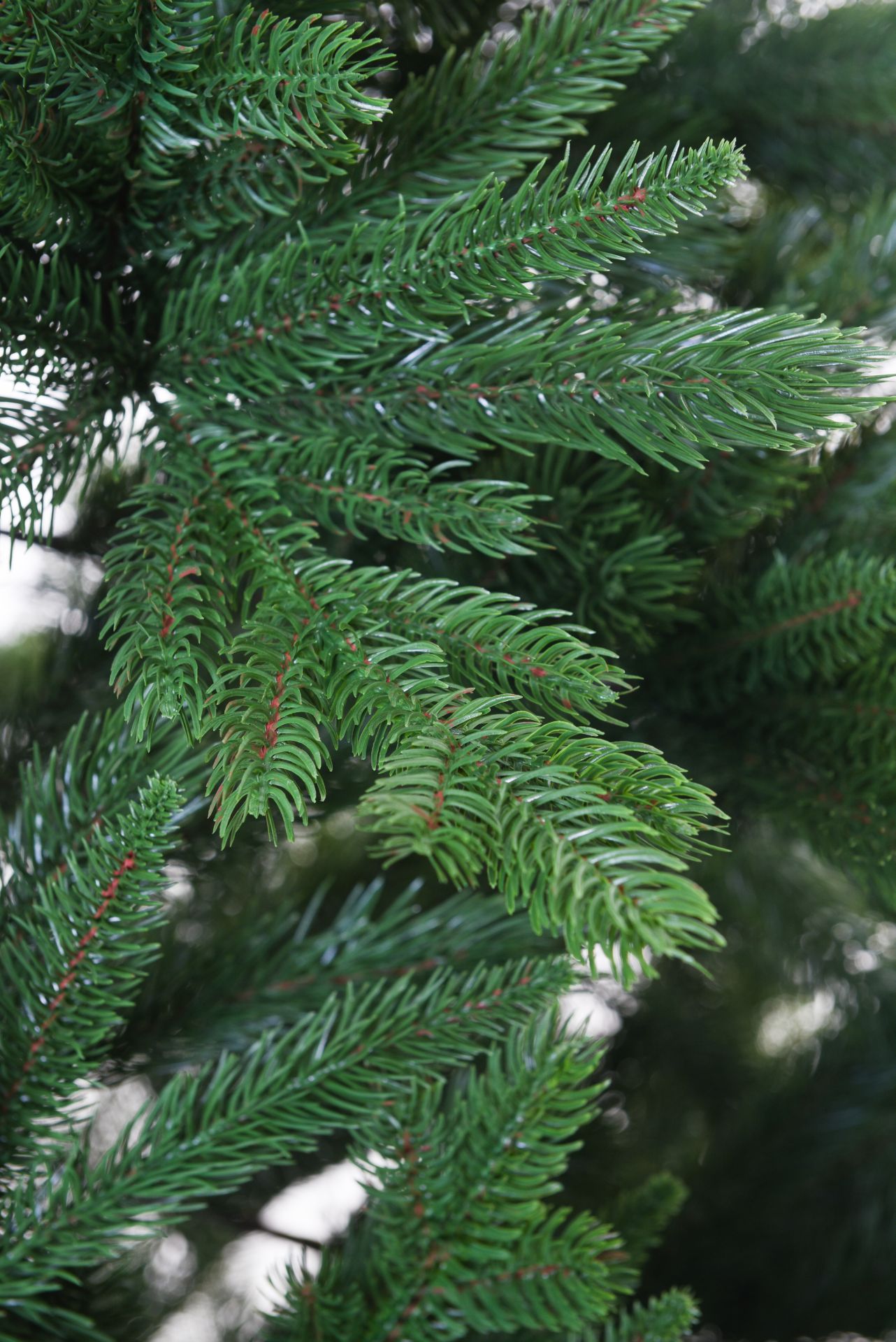 VIVANNO Künstlicher Weihnachtsbaum Tannenbaum Premium