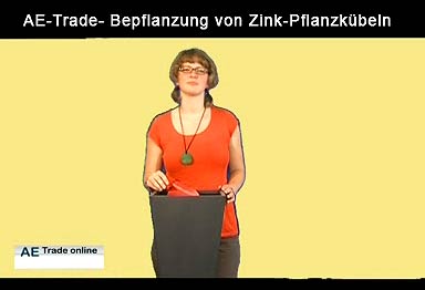 Bepflanzung von Zink-Pflanzkübeln