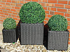 Block Polyrattan