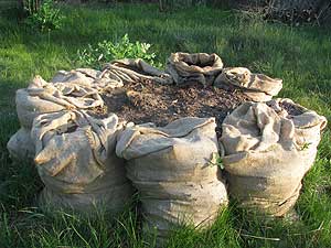 sackbeet aus Jute-Säcken